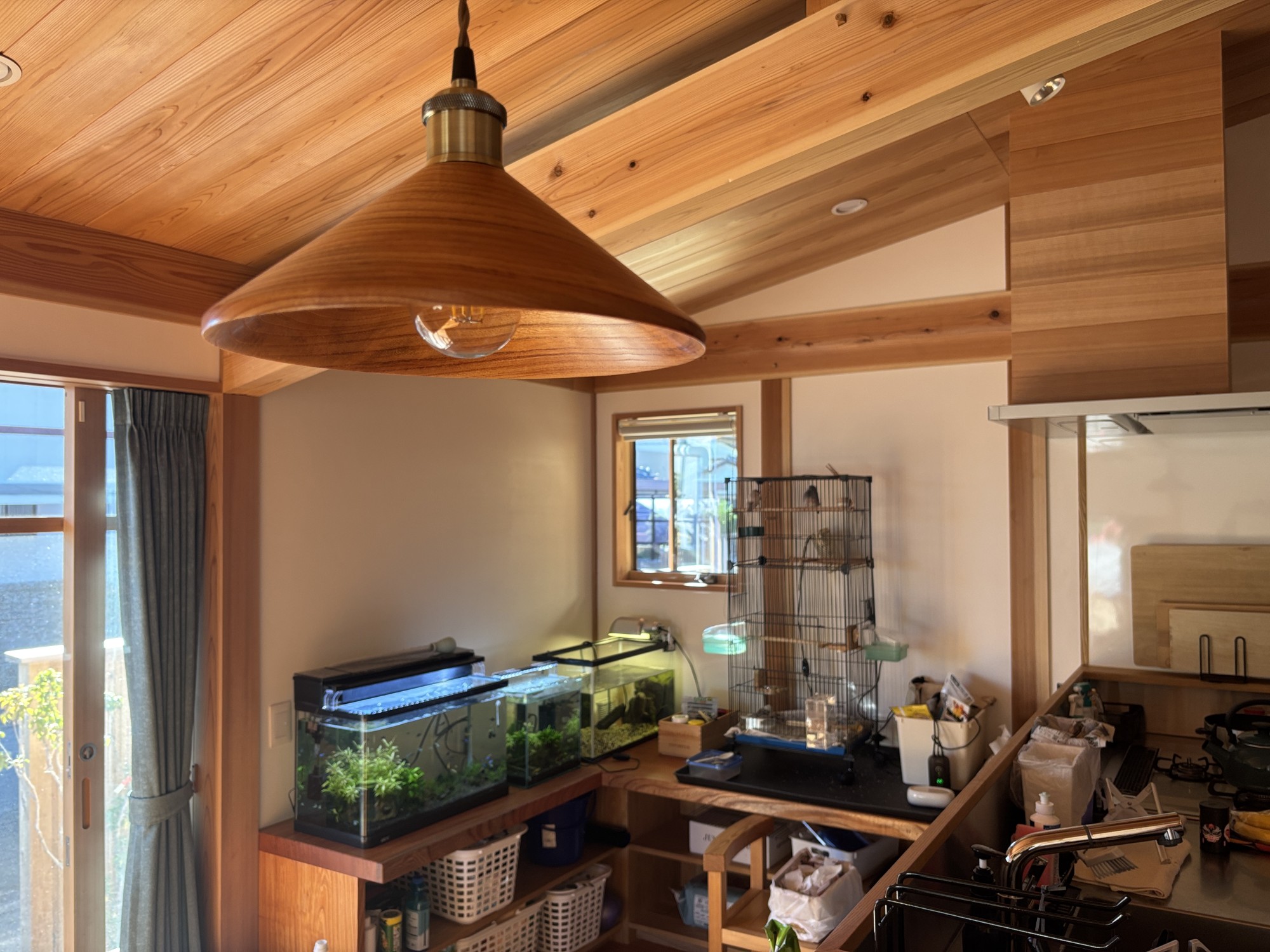 浜松 趣味と暮らす平屋